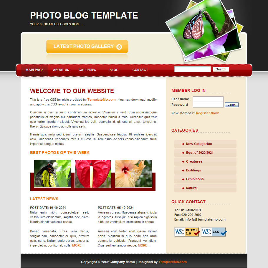 free-template-040-photoblog