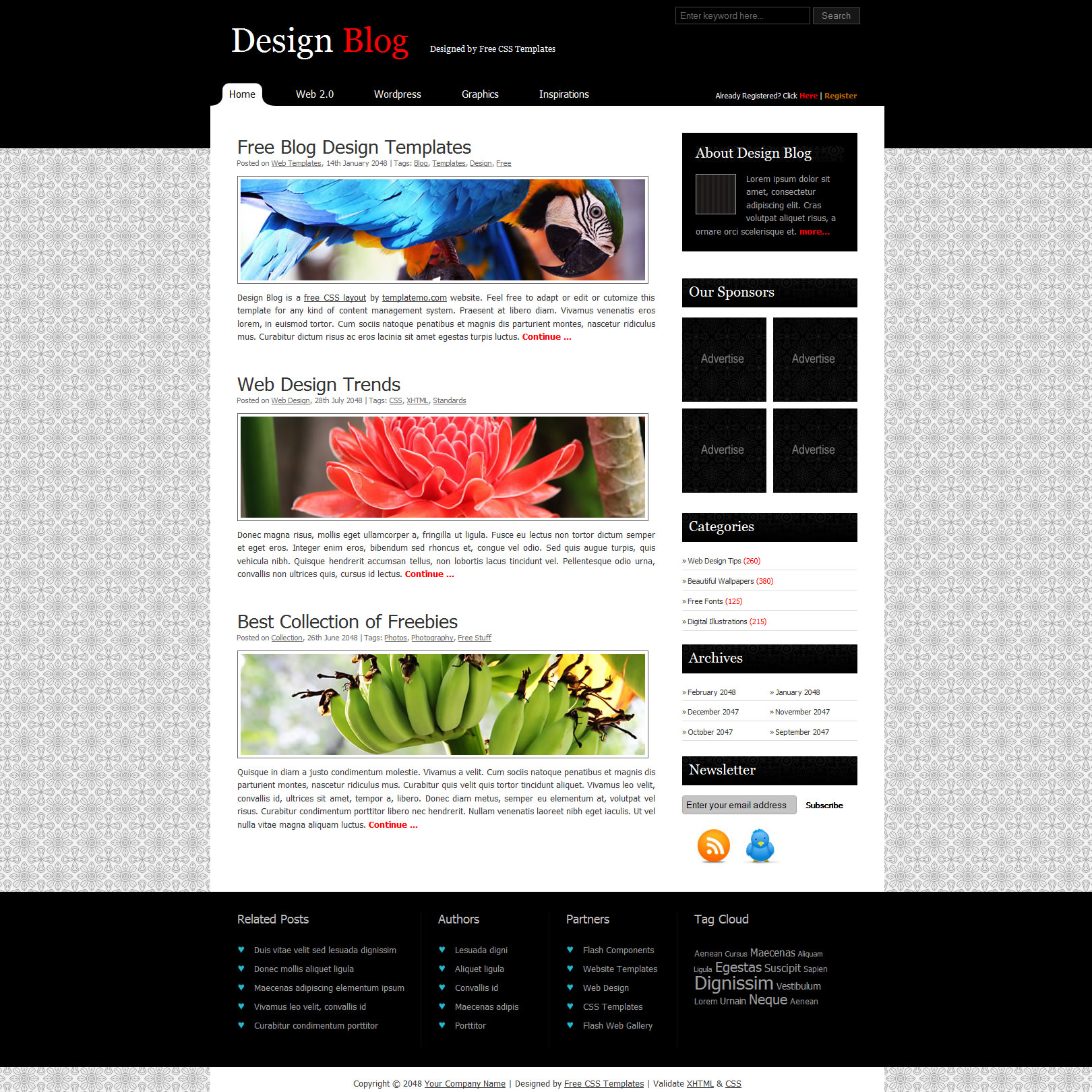 templatemo 242 design blog