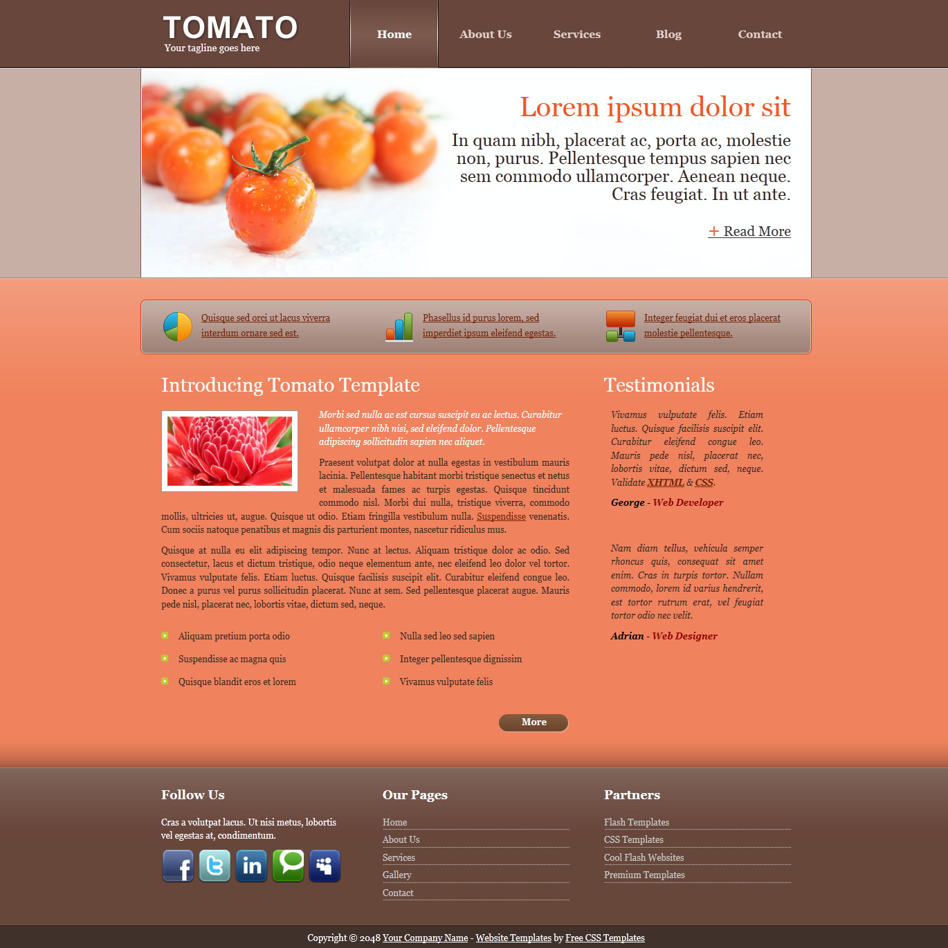 templatemo 302 tomato