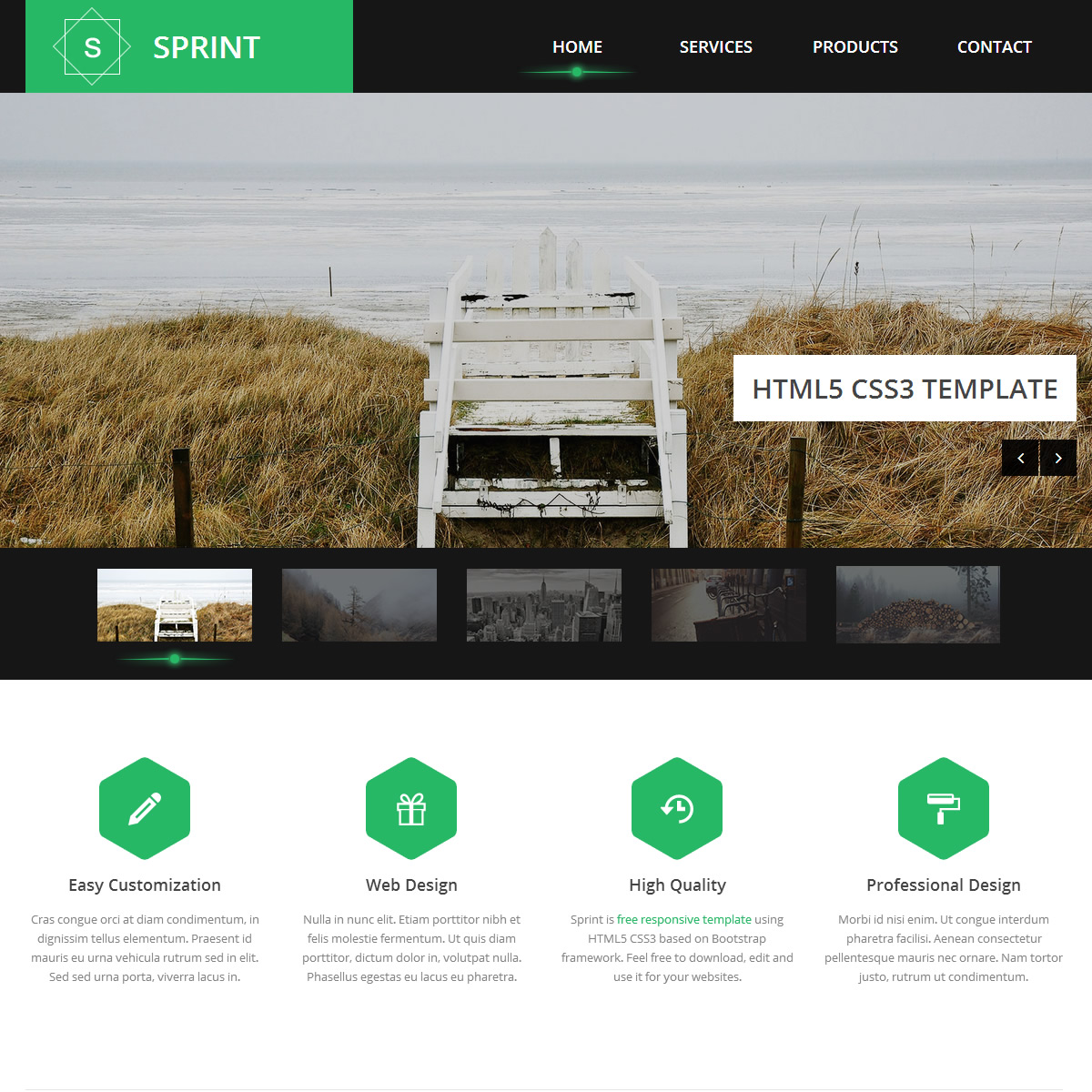 Free Template 401 Sprint